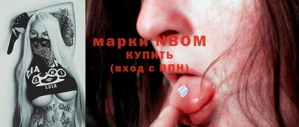 МДПВ Медногорск
