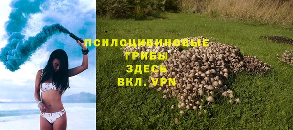 дурь Медвежьегорск