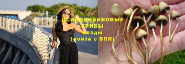 дурь Медвежьегорск