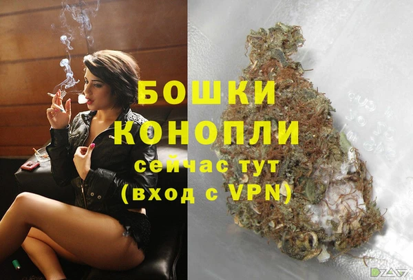 МДПВ Медногорск