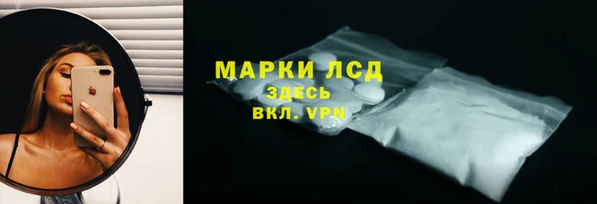 ECSTASY Магас