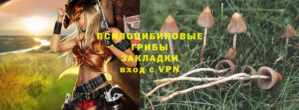 дурь Медвежьегорск
