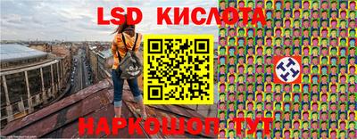 крисы Бийск