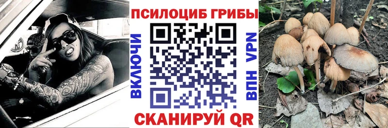 Псилоцибиновые грибы Cubensis  наркота  мега маркетплейс  Екатеринбург 