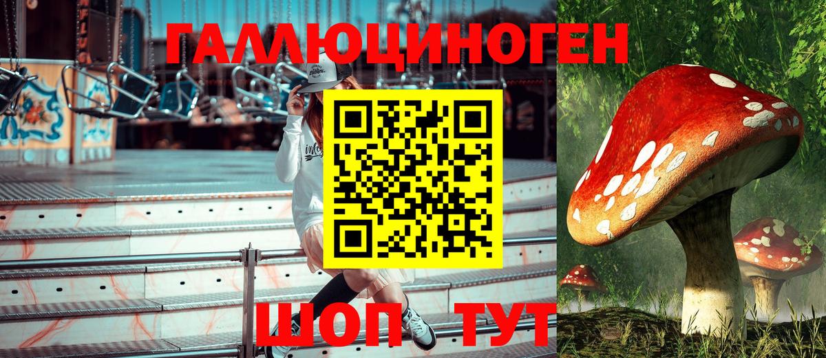 Псилоцибиновые грибы GOLDEN TEACHER  купить  цена  Екатеринбург  Галлюциногенные грибы ЛСД  Вход с VPN 